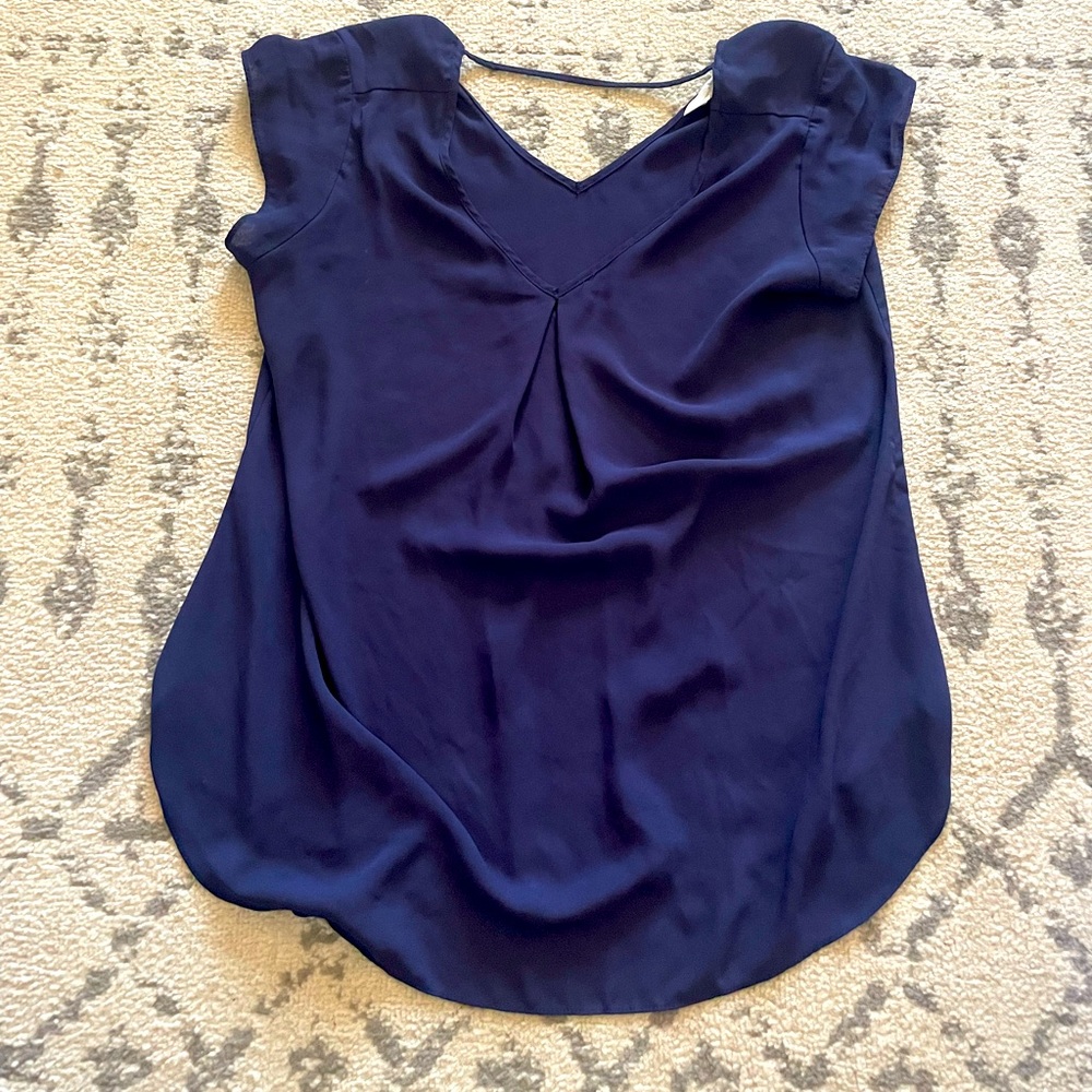 Charming Charlie sheer blue dress top